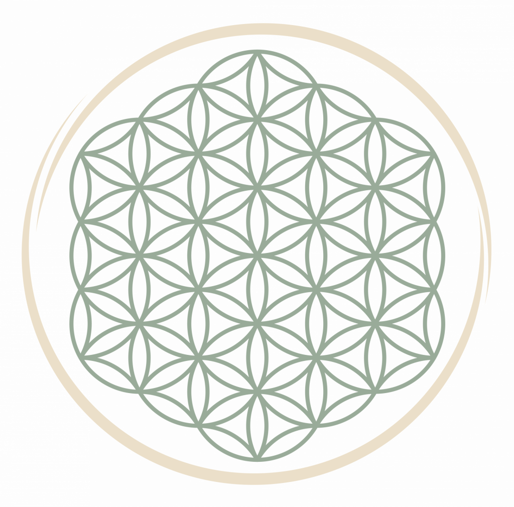 Yoga und Spiraldynamik® Kiel