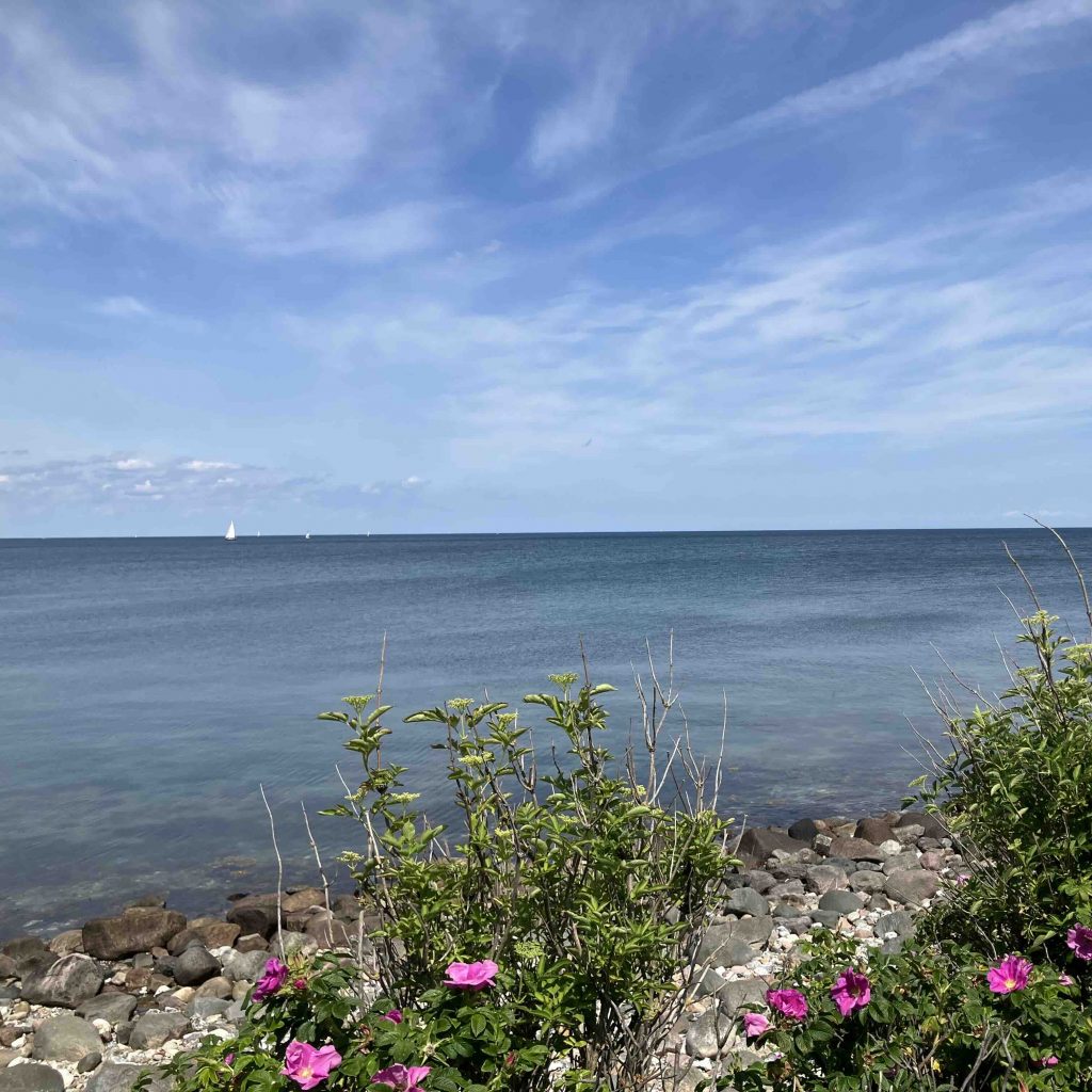 Yoga Retreat Kiel Schwedeneck Steilküste