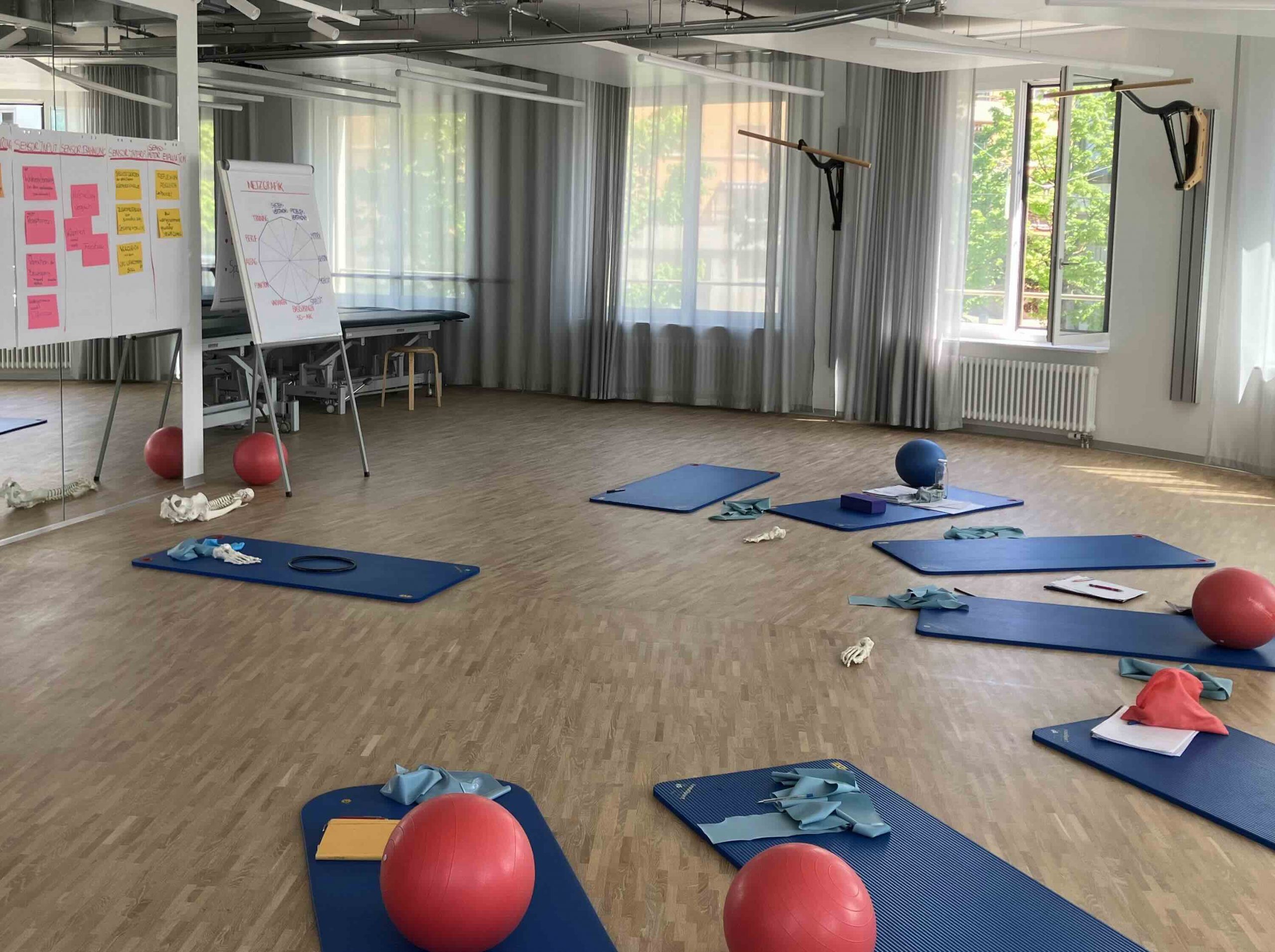 Spiraldynamik® Intermediate Physiopädagogik