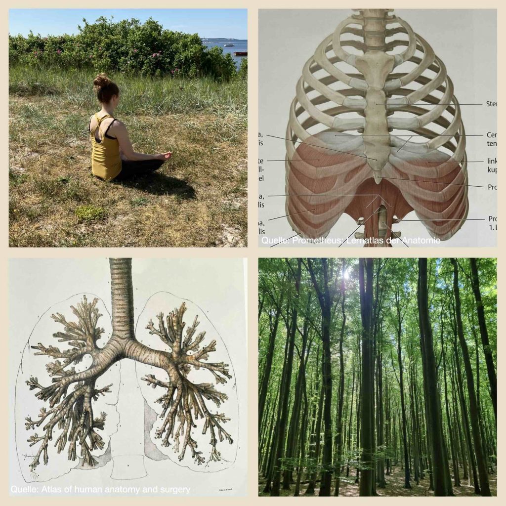 Pranayama und Meditation