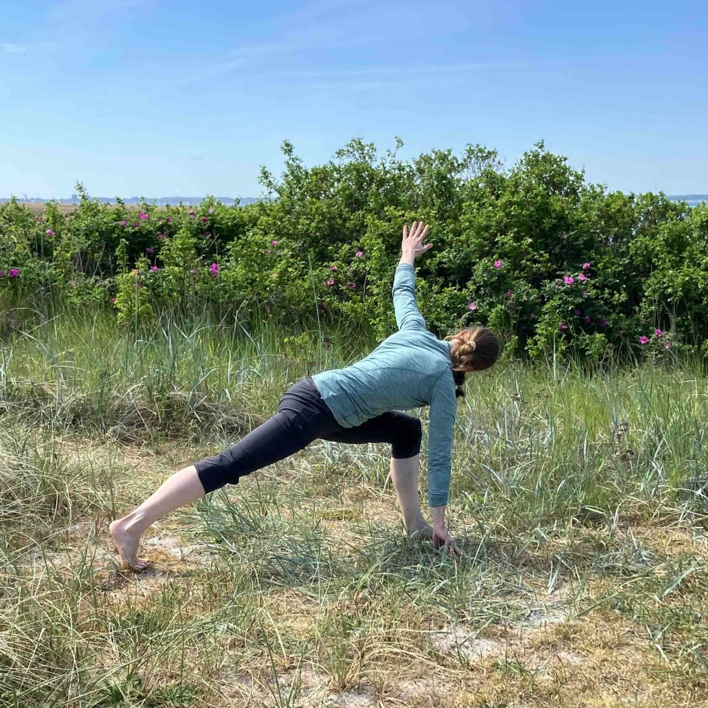 personal yoga stamm twist